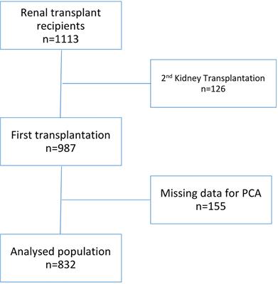 Pre-transplant immune profile defined by principal component analysis predicts acute rejection after kidney transplantation